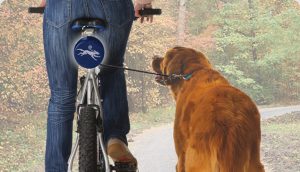 Dog N Roll Fully Automatic Retractable Dog Leash For Bicycles