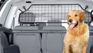 Universal TraficGard for Dogs and Cars