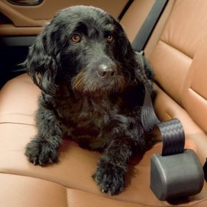 Click N Roll Automatic Retractable Dog Seat Belt System