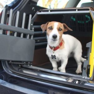 MIM Safe Variocage Minimax Crash Tested Dog Cage