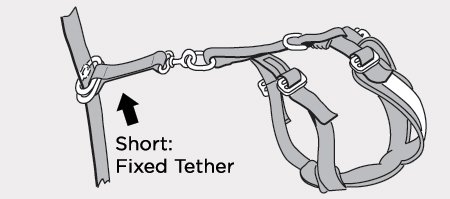 Allsafe Harness Short Tether