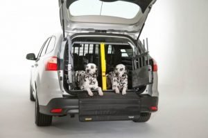 MIM Safe Variocage Crash Tested Dog Cage Two Dalmatians