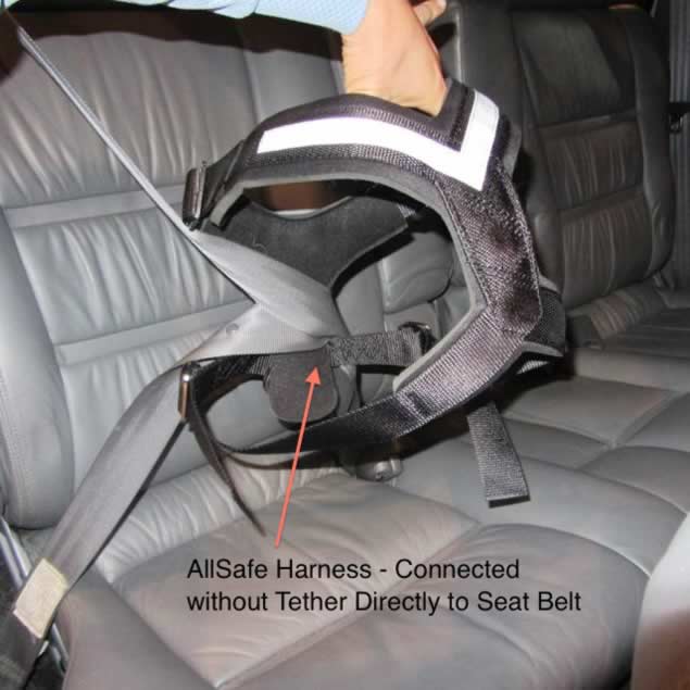 AllSafe Harness Connected to Seat Belt without Tether