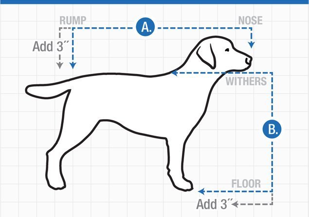 How to measure Dog for Variocage