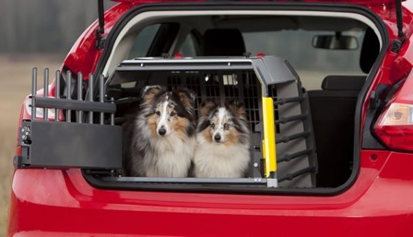 MIM Safe Variocage Compact Crash Tested Dog Cage