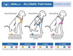 ALL Safe Harness Guide-2021