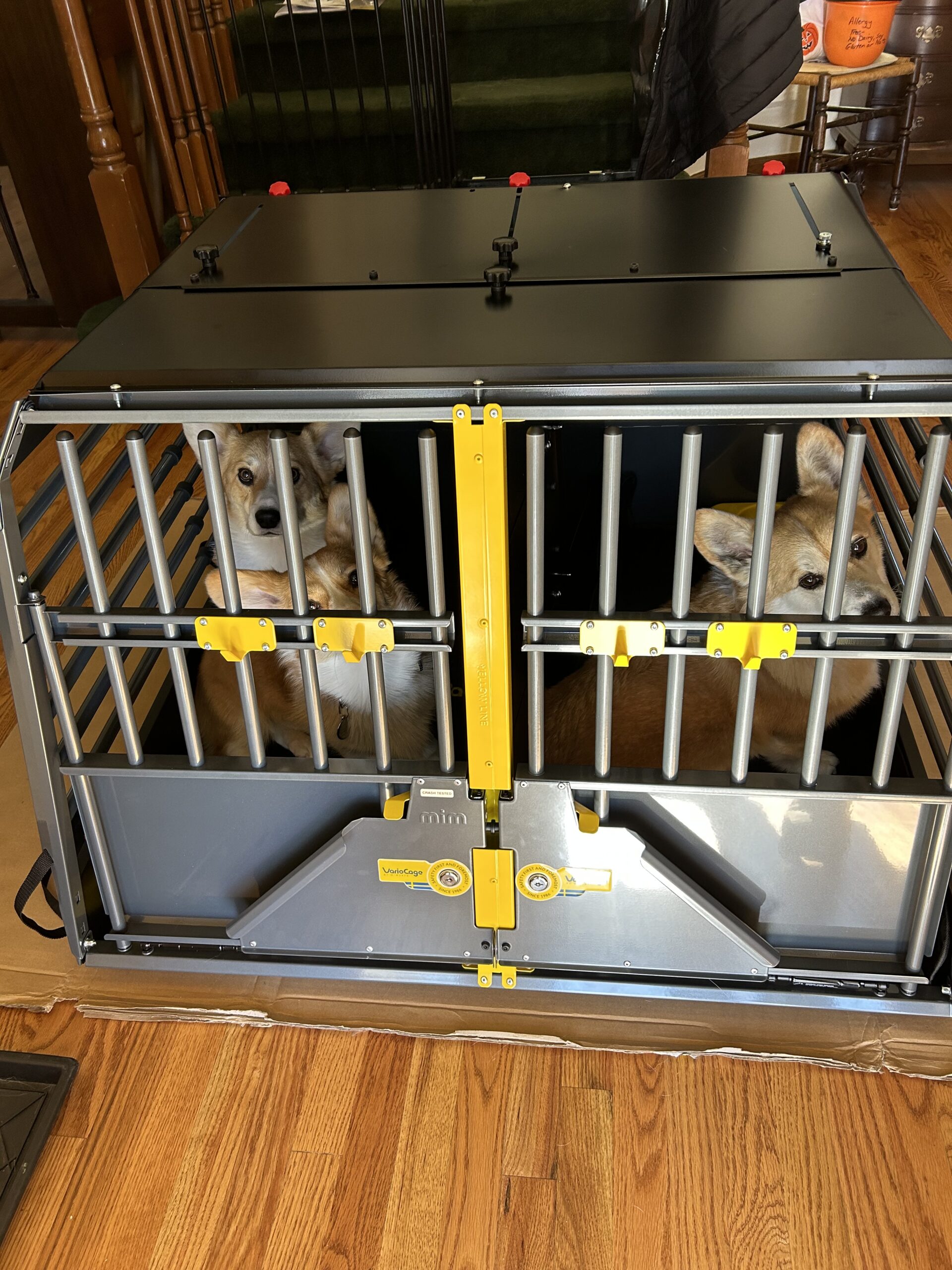 Julie V - 4x4 North America